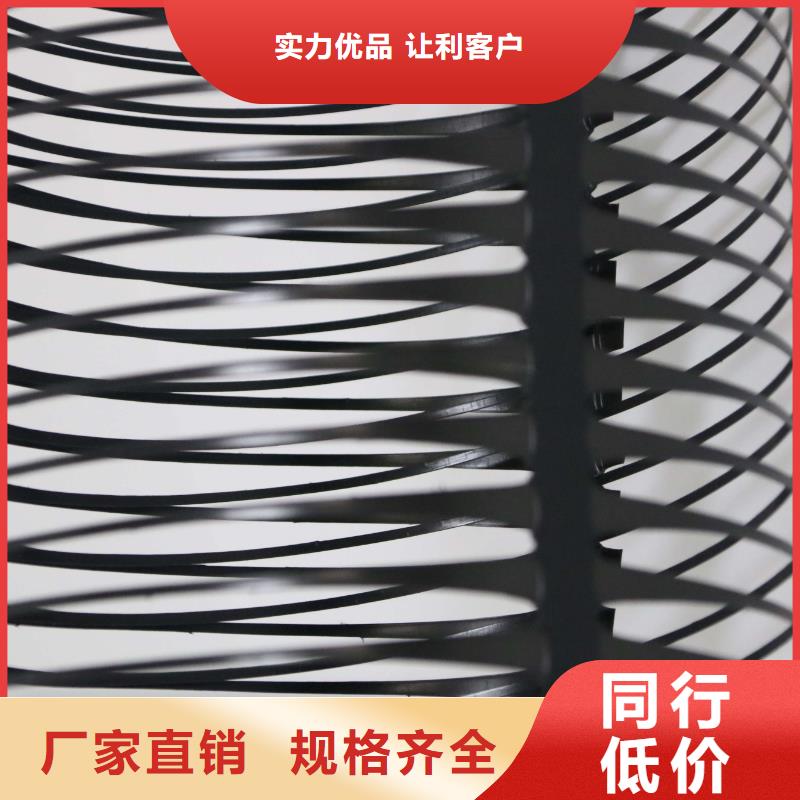 单向拉伸塑料格栅三维植被网价格公道合理当地服务商