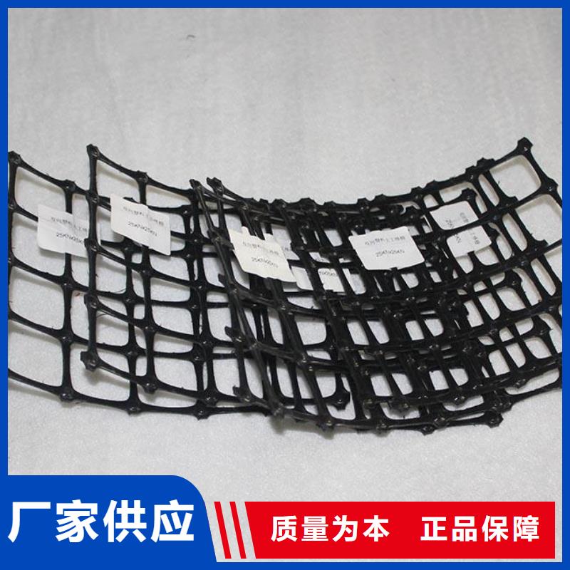 双向塑料土工格栅【三维土工网垫】快速生产源头厂家直销