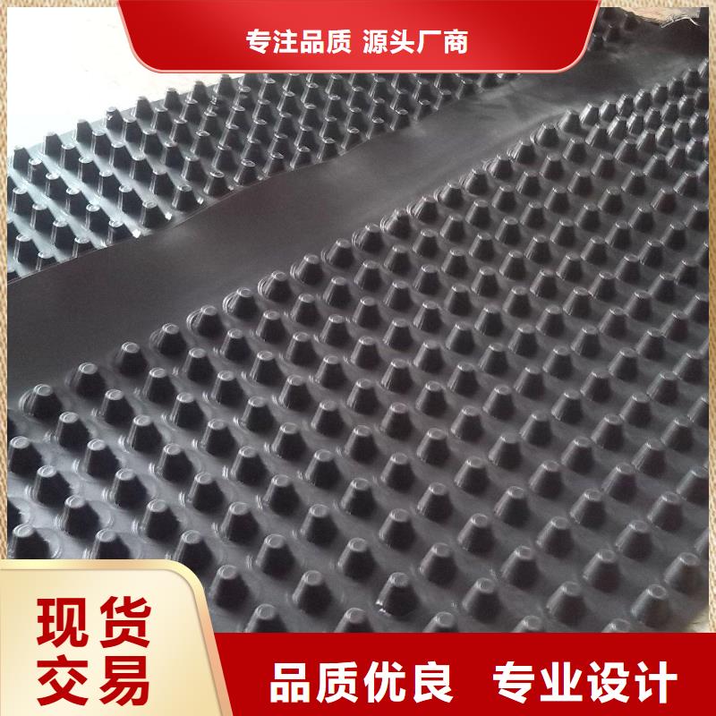 蓄排水板膨润土防水垫大量现货本地公司