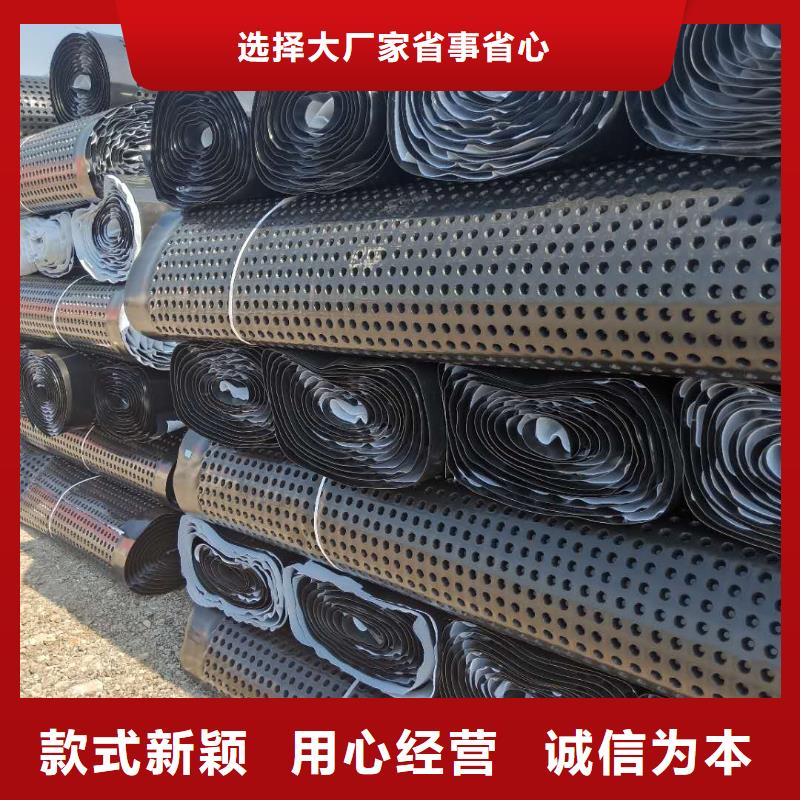 ​蓄排水板,双向塑料土工格栅厂家工艺层层把关