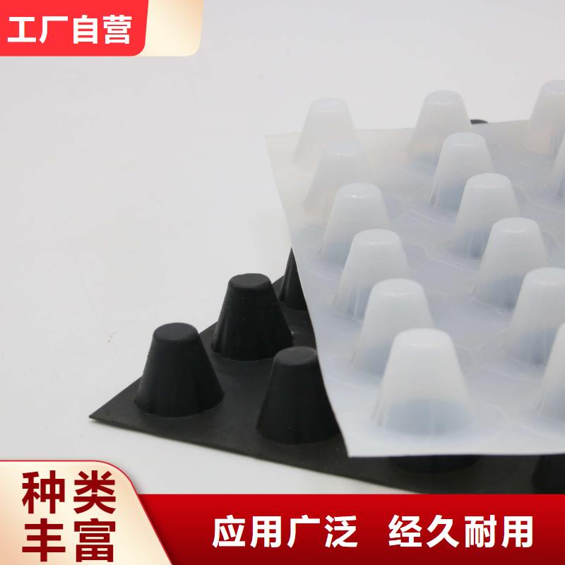 蓄排水板土工布出厂严格质检当地品牌