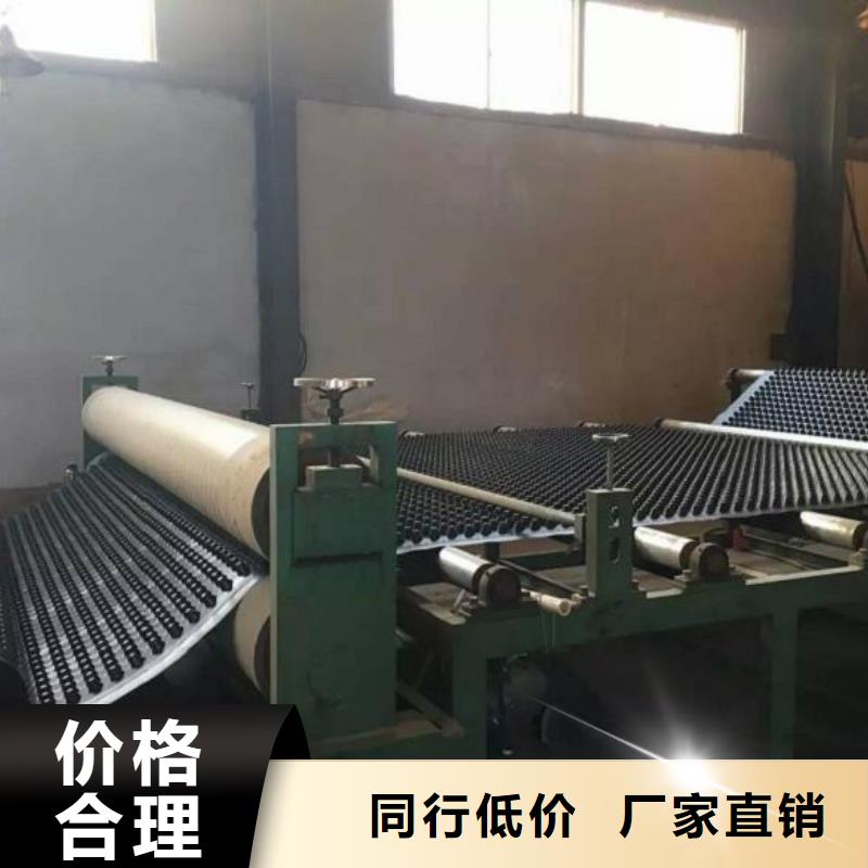 【蓄排水板土工格栅设计制造销售服务一体】产地直供