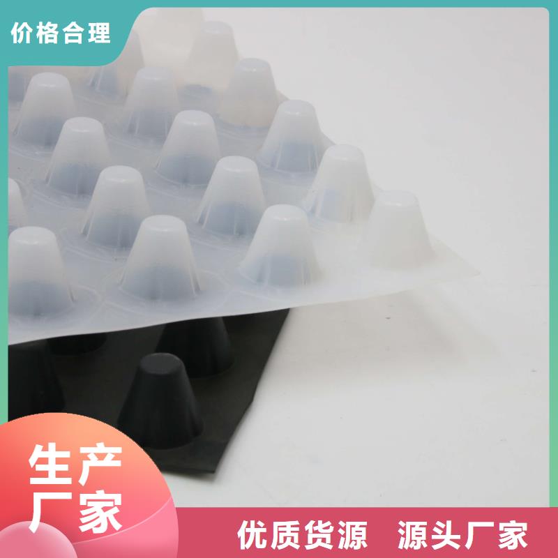 蓄排水板土工布专注生产制造多年自主研发
