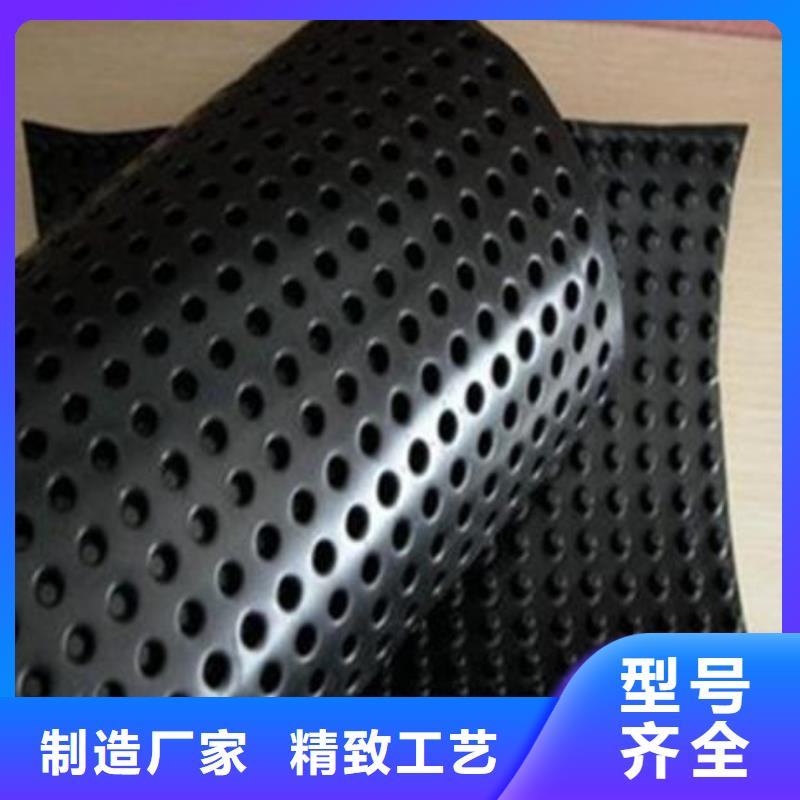 塑料凹凸型蓄排水板厂家一手货源质量保证用心服务
