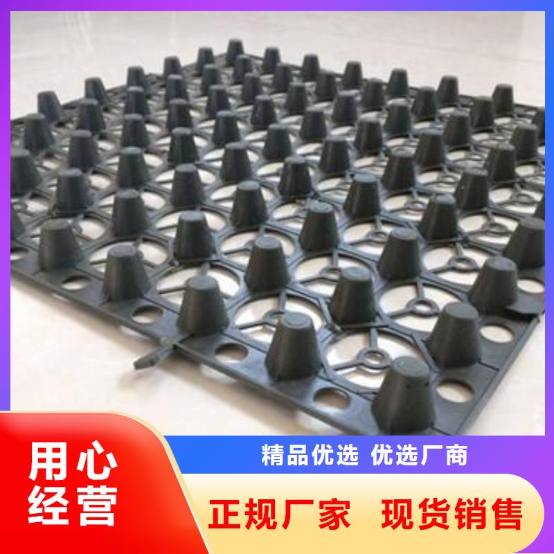 蓄排水板土工格室源厂直销货源充足