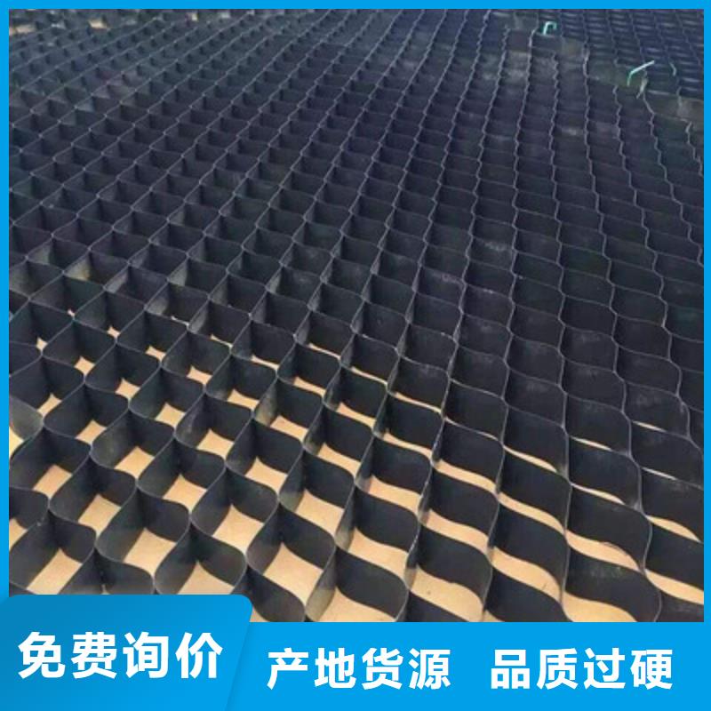 土工格室_三维复合排水网大品牌值得信赖多种工艺