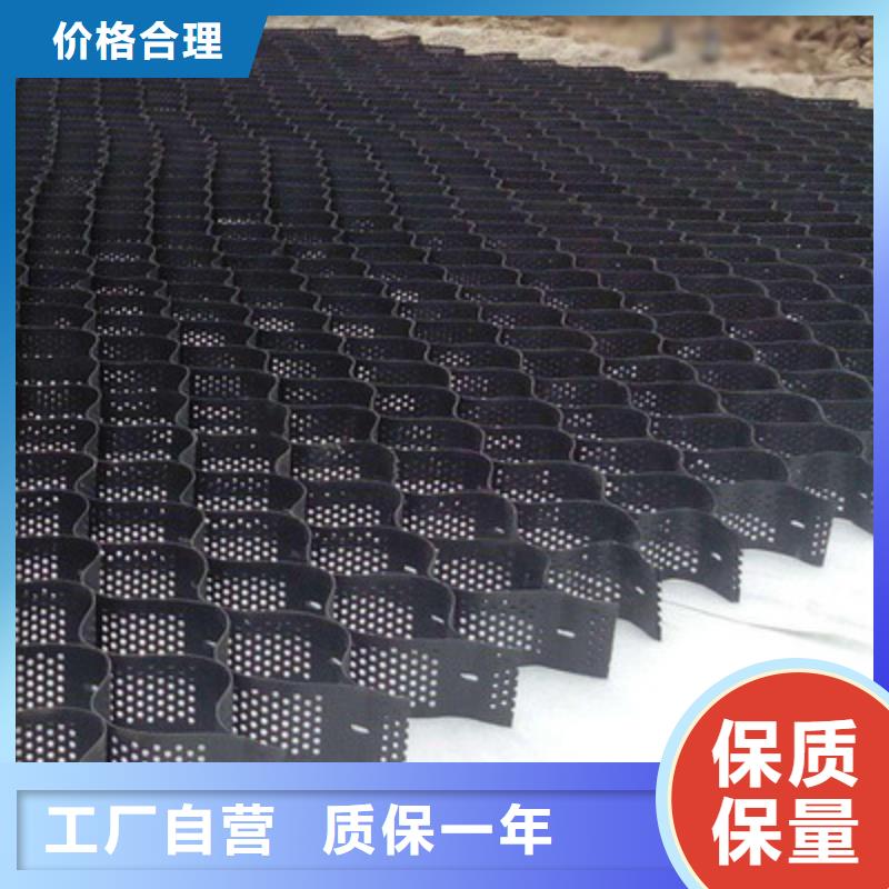 【土工格室-三维植被网一件也发货】同城公司