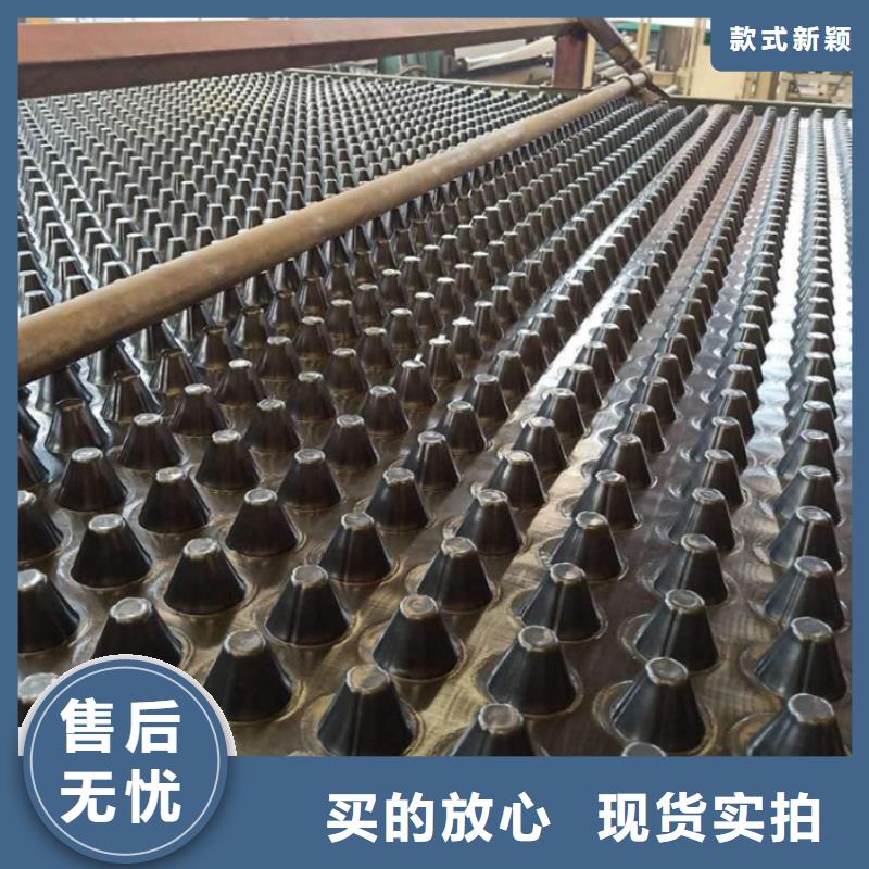 塑料排水板玻璃纤维土工格栅定制批发同城厂家