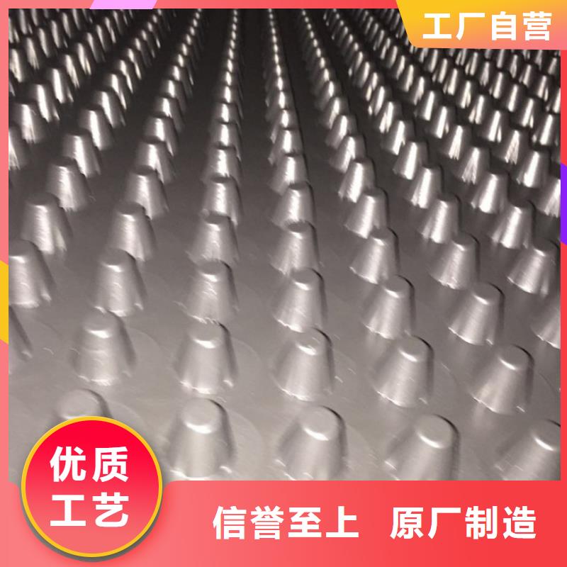 塑料排水板玻纤土工格栅好产品好服务本地公司