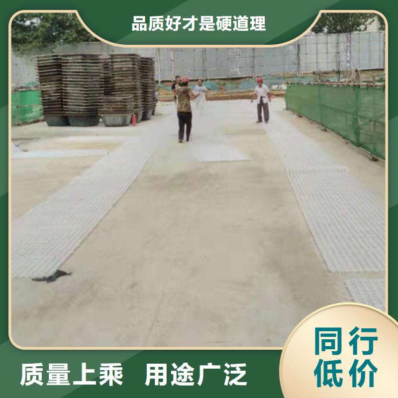 塑料排水板【钢塑土工格栅厂家】优良材质放心选购