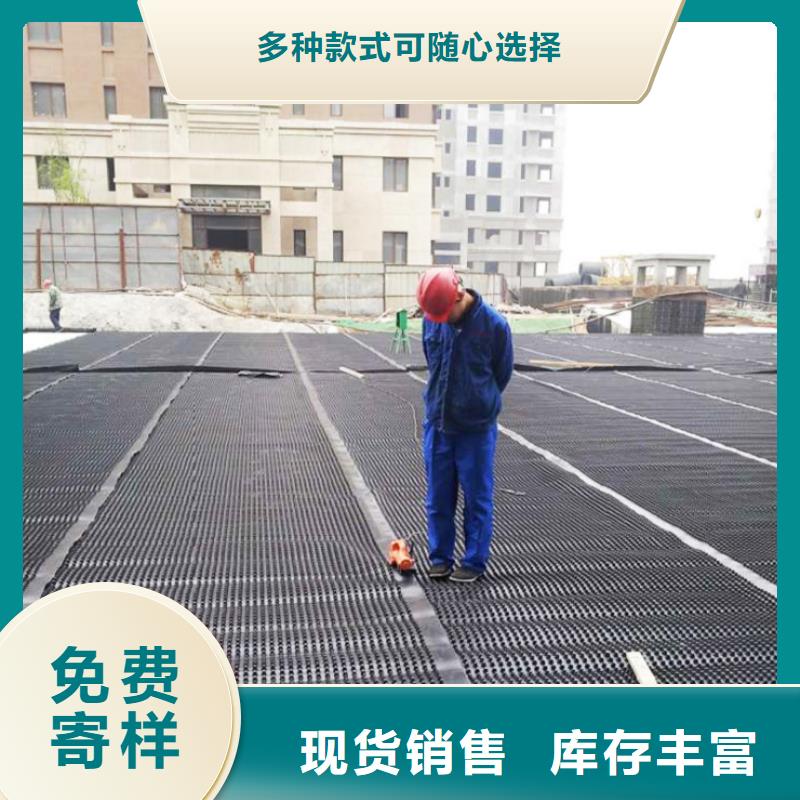 塑料排水板免费拿样敢与同行比价格