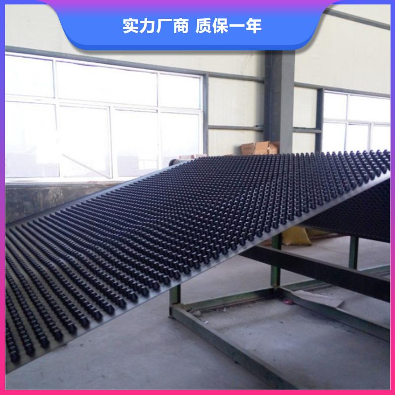 塑料排水板干什么的多种场景适用