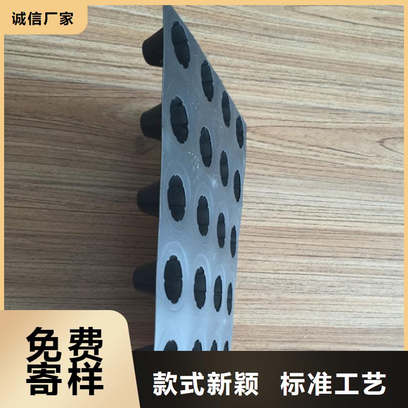 塑料排水板钢塑土工格栅好产品放心购免费安装