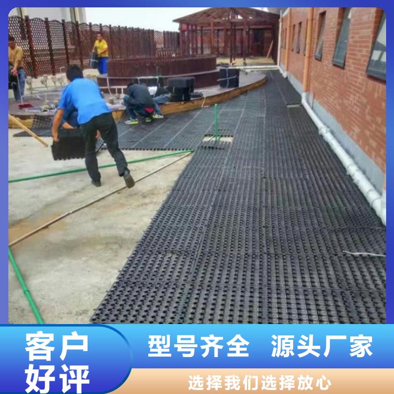 塑料排水板_短丝土工布免费寄样本地经销商