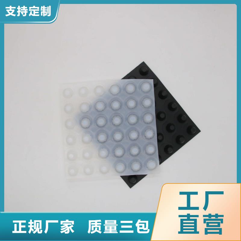 塑料排水板涤纶土工格栅安装简单选择我们没错
