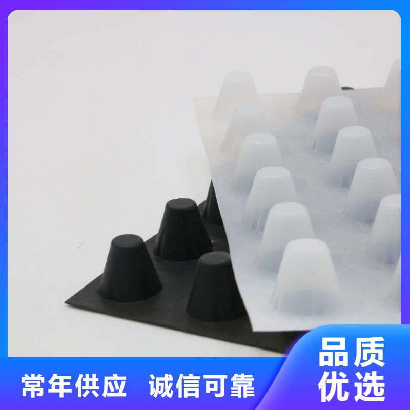 塑料排水板_土工布批发发货及时厂家规格全