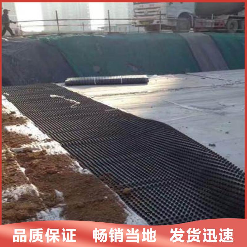 塑料排水板当地生产厂家
