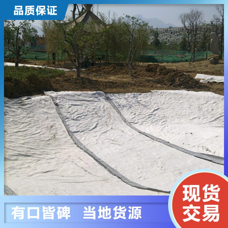 防水毯单向塑料土工格栅用心做产品本地货源