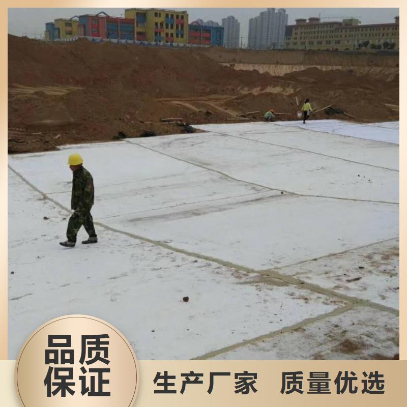 防水毯土工席垫真材实料精益求精