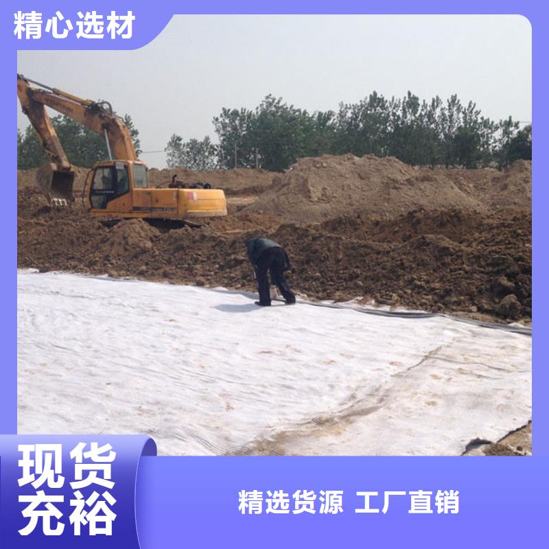 防水毯,土工布价格价格地道一手价格