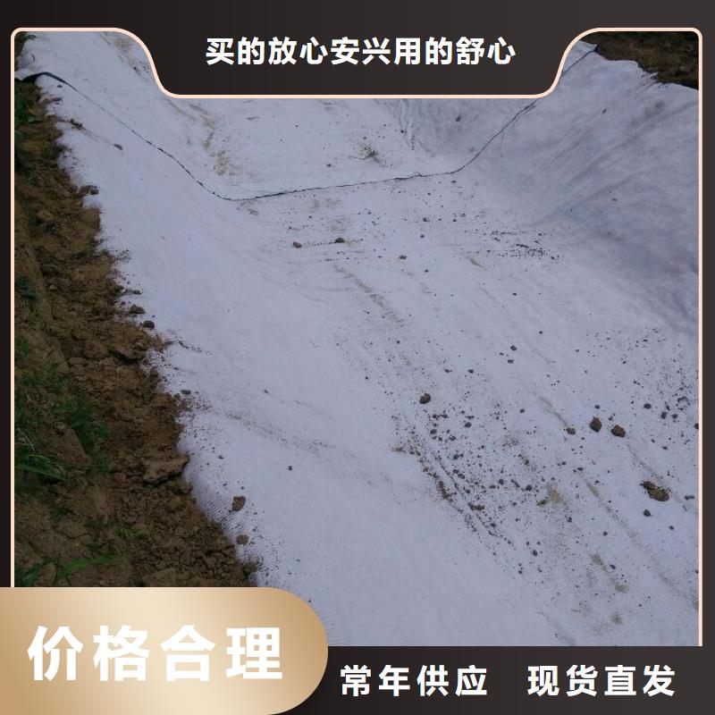 防水毯_塑料排水板源头把关放心选购真材实料加工定制