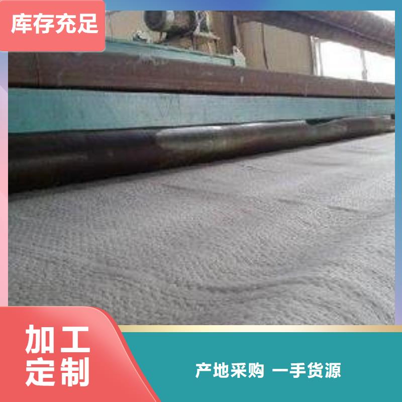防水毯钢塑土工格栅高质量高信誉批发价格