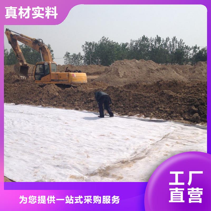 防水毯-玻璃纤维土工格栅精心选材本地经销商
