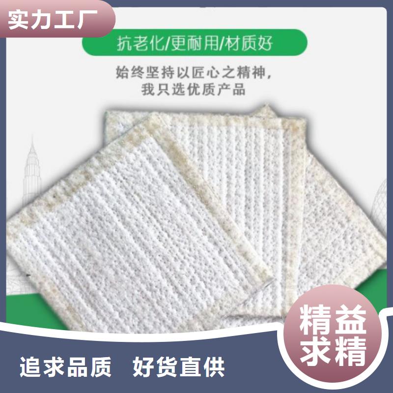 防水毯三维水土保护毯厂家直销省心省钱制造厂家
