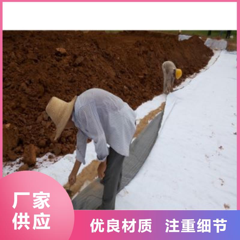 防水毯短丝土工布性价比高随心所欲定制