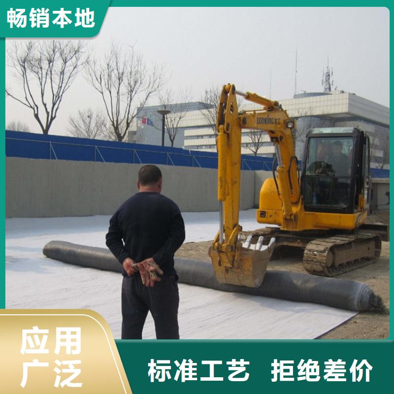 防水毯【钢塑土工格栅】实体厂家当地品牌