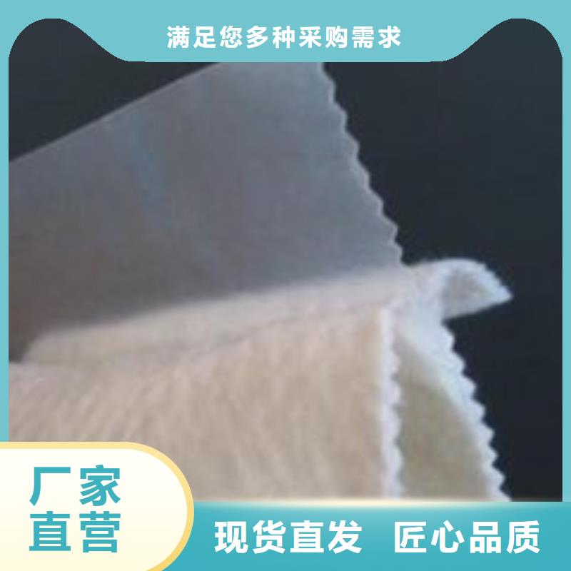 土工膜-土工布-HDPE土工膜-防渗膜厂家贴心服务