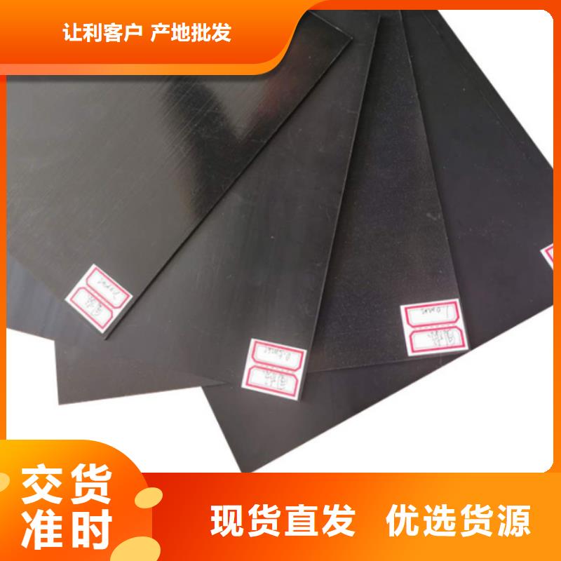 土工膜玻纤土工格栅实地大厂品质过硬