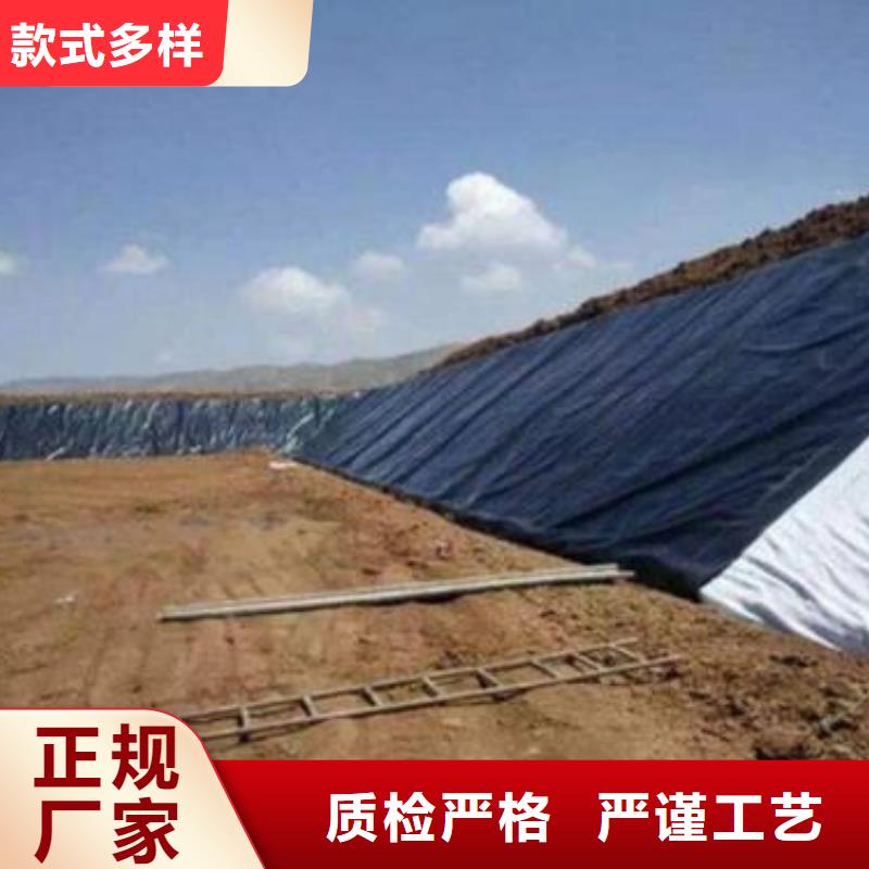 HDPE土工膜生产基地物美价优