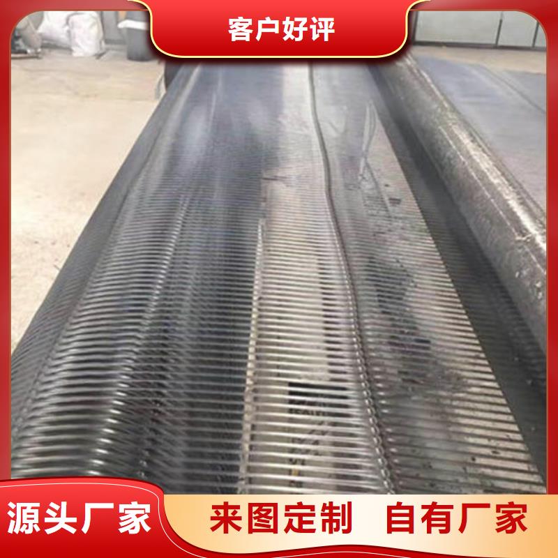 土工格栅单向土工格栅-边坡防护-挡土墙实体诚信厂家