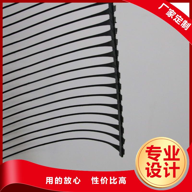 土工格栅土工席垫品质做服务同城生产厂家
