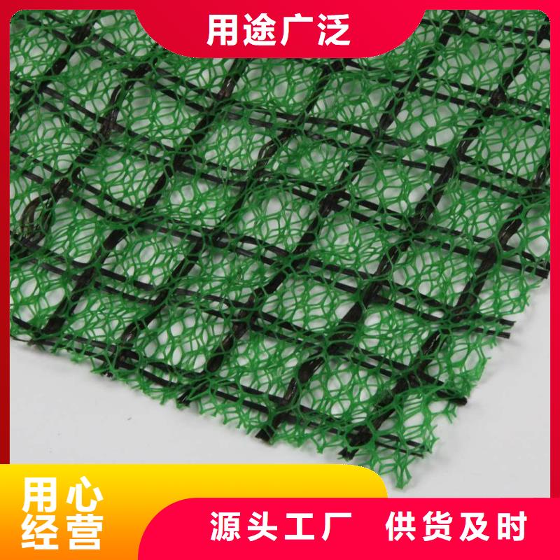 植生毯|三维植被网厂家|椰丝毯|三维抗侵蚀防护毯真材实料诚信经营