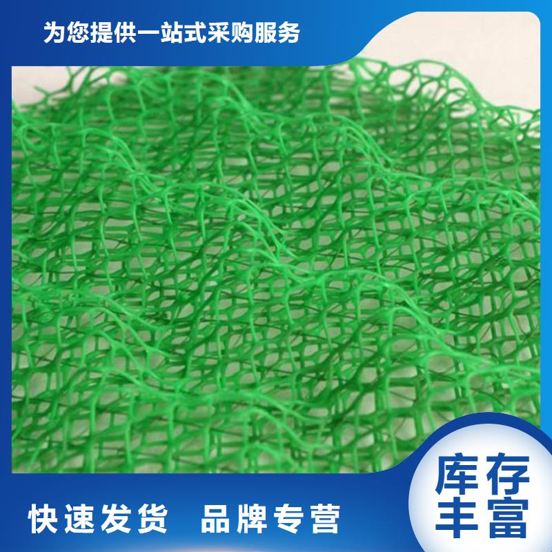 三维植被网规格定制EM2-EM3-EM4-同城供应商