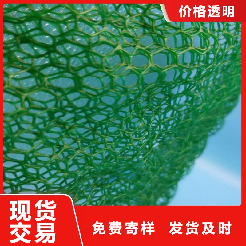 三维植被网_软式透水管同行低价经验丰富品质可靠