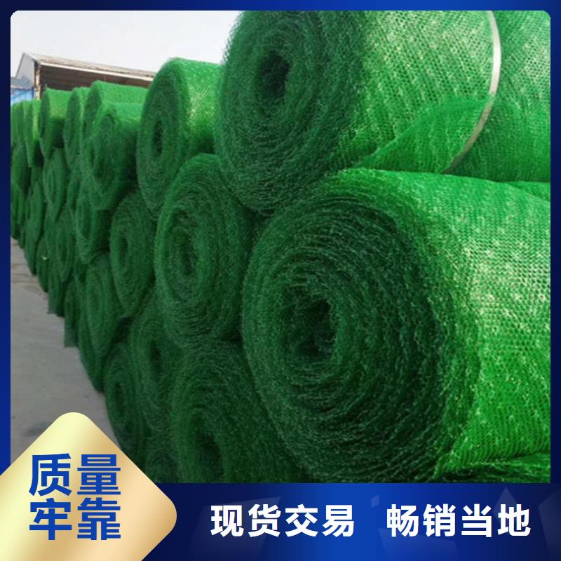 三维植被网玻纤土工格栅精工制作同城公司