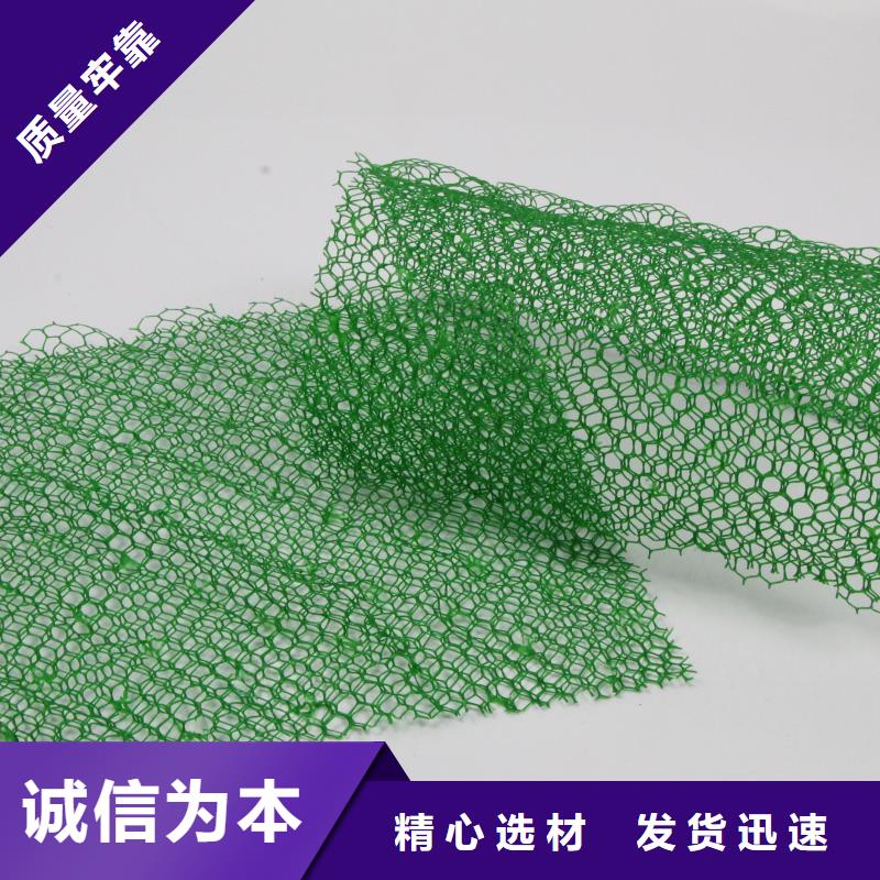 【三维植被网塑料盲沟每一处都是匠心制作】当地品牌