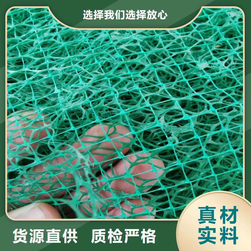 三维植被网双向塑料土工格栅用的放心当地服务商