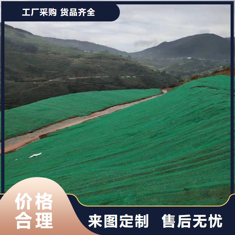 三维植被网护坡做法-价格低直销厂家