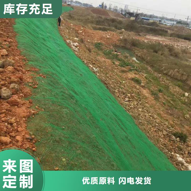 三维植被网-护坡网-施工简单把实惠留给您