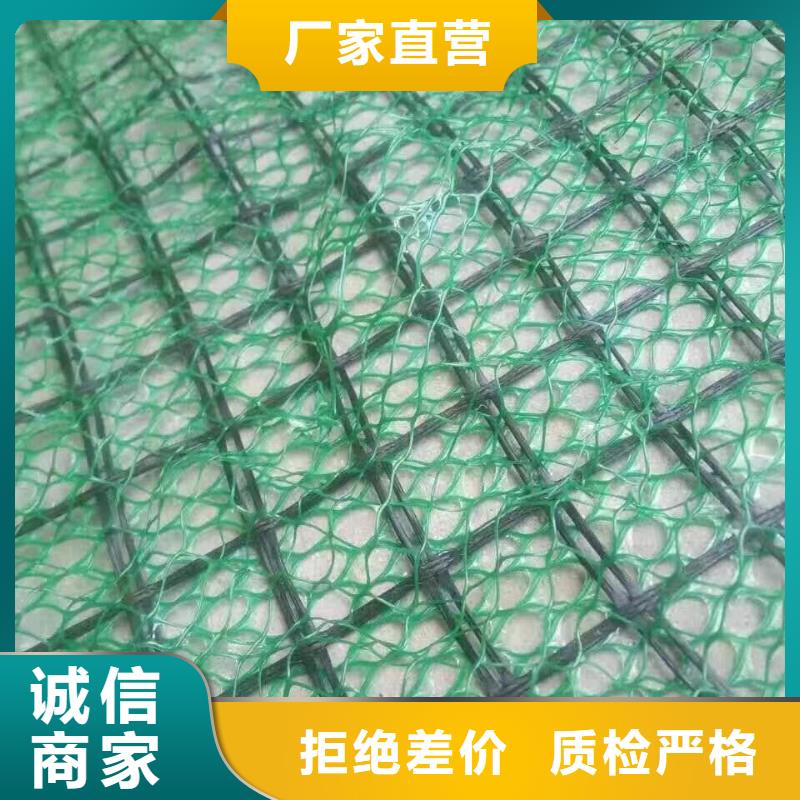 【三维植被网玻璃纤维土工格栅层层质检】供您所需