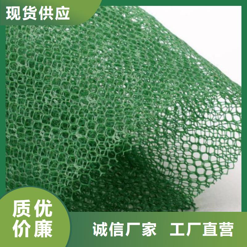 【三维植被网】钢塑土工格栅厂家源头厂家经验丰富满足客户所需