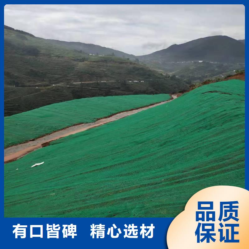 三维植被网_钢塑土工格栅厂家品质保障价格合理用心做好细节