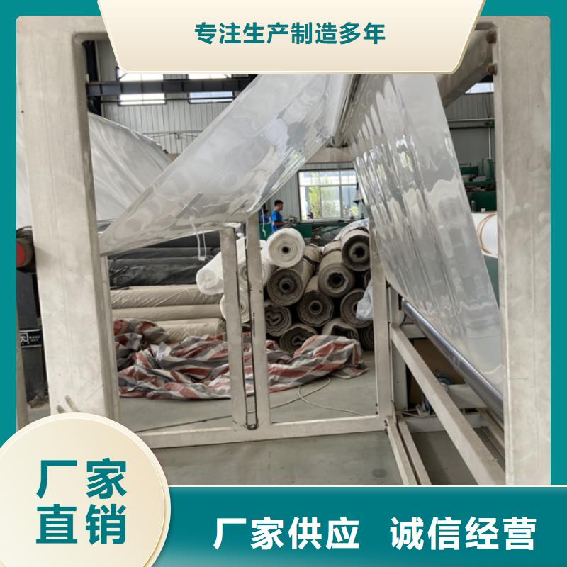 EVA防水板玻璃纤维土工格栅用心服务专业生产团队