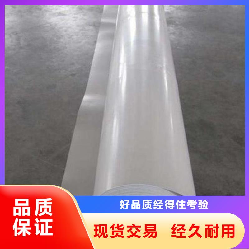 EVA防水板多向塑料土工格栅专业按需定制闪电发货