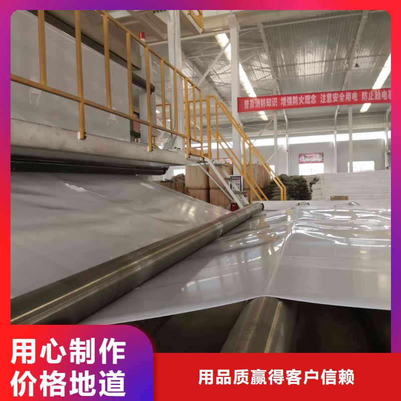 EVA防水板硬式透水管专业设计现货充足量大优惠