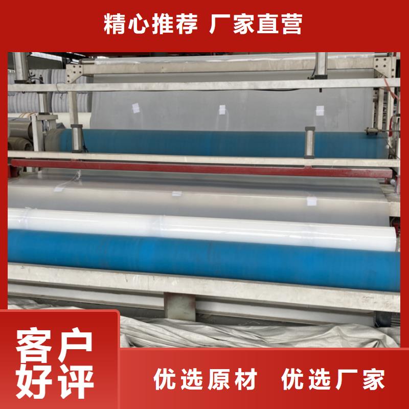 EVA防水板双向塑料土工格栅一站式厂家品牌企业